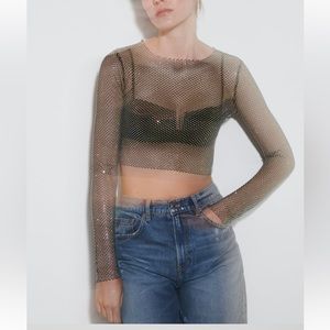 Zara Shimmer Mesh Crop Top